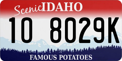 ID license plate 1O8029K