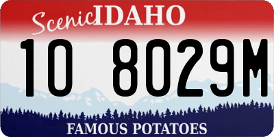 ID license plate 1O8029M