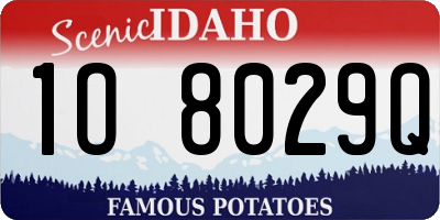 ID license plate 1O8029Q