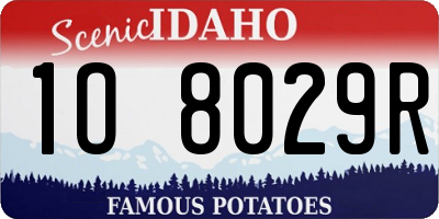 ID license plate 1O8029R