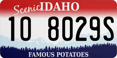 ID license plate 1O8029S