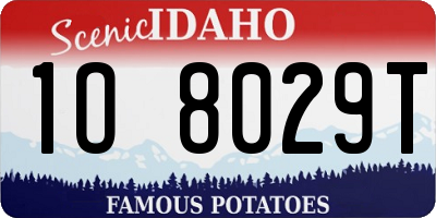 ID license plate 1O8029T