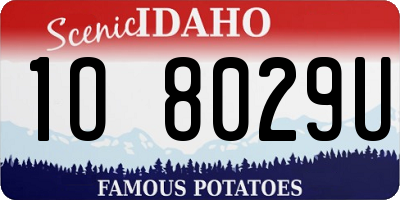 ID license plate 1O8029U