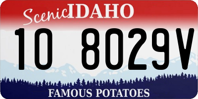 ID license plate 1O8029V