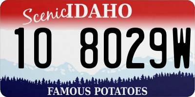 ID license plate 1O8029W