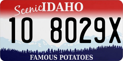 ID license plate 1O8029X