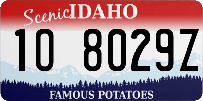 ID license plate 1O8029Z