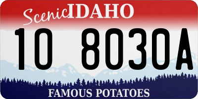 ID license plate 1O8030A