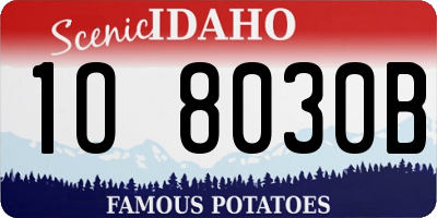 ID license plate 1O8030B