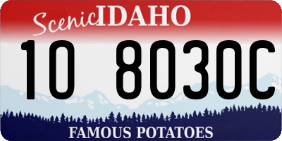 ID license plate 1O8030C