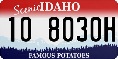 ID license plate 1O8030H