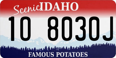 ID license plate 1O8030J