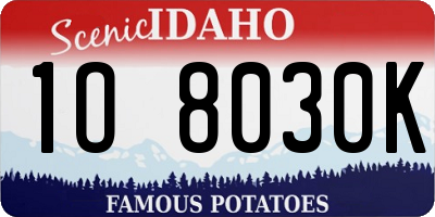 ID license plate 1O8030K