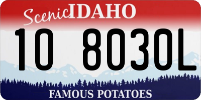 ID license plate 1O8030L
