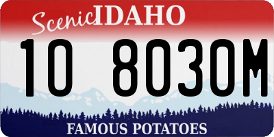 ID license plate 1O8030M