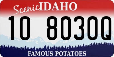 ID license plate 1O8030Q