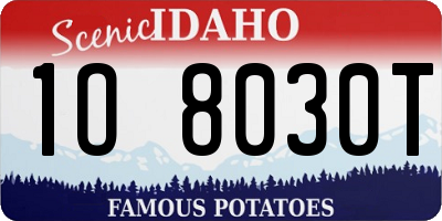 ID license plate 1O8030T