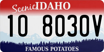 ID license plate 1O8030V