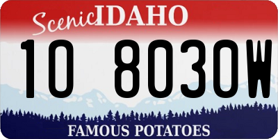 ID license plate 1O8030W
