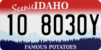 ID license plate 1O8030Y
