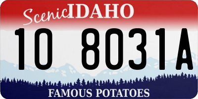 ID license plate 1O8031A