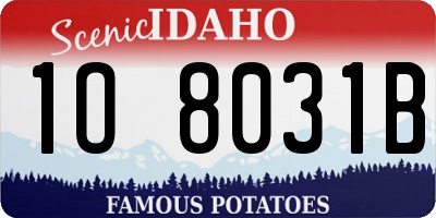 ID license plate 1O8031B