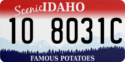 ID license plate 1O8031C