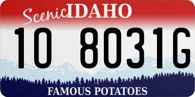 ID license plate 1O8031G