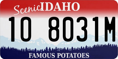 ID license plate 1O8031M