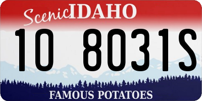 ID license plate 1O8031S