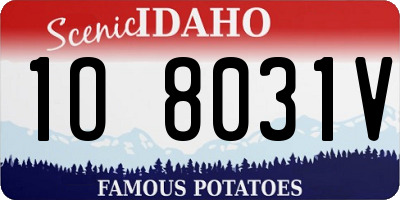 ID license plate 1O8031V