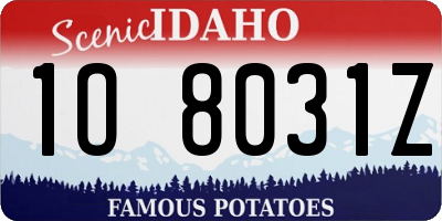 ID license plate 1O8031Z