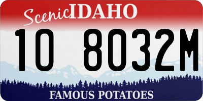 ID license plate 1O8032M