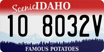 ID license plate 1O8032V