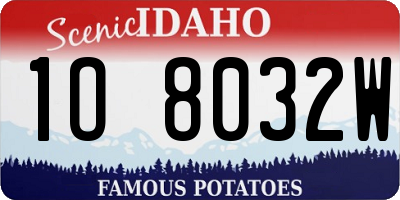ID license plate 1O8032W