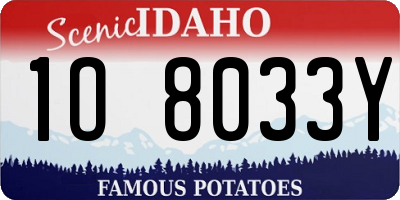 ID license plate 1O8033Y