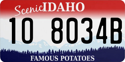 ID license plate 1O8034B