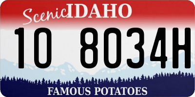 ID license plate 1O8034H