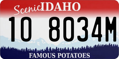 ID license plate 1O8034M