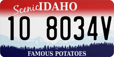 ID license plate 1O8034V