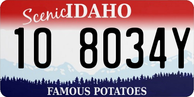 ID license plate 1O8034Y