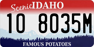 ID license plate 1O8035M