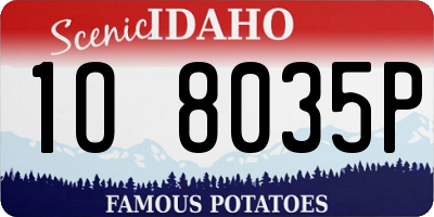 ID license plate 1O8035P