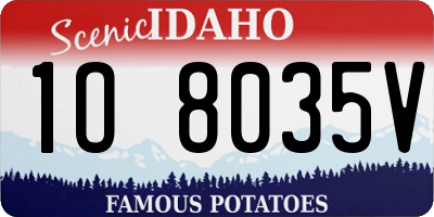 ID license plate 1O8035V
