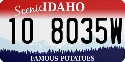 ID license plate 1O8035W