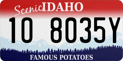 ID license plate 1O8035Y