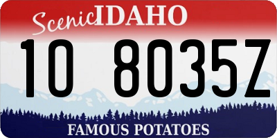 ID license plate 1O8035Z