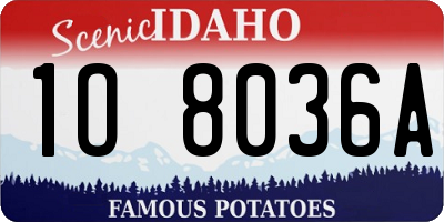 ID license plate 1O8036A