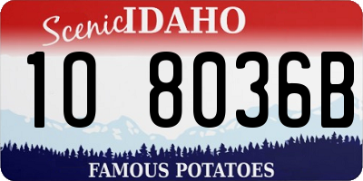 ID license plate 1O8036B