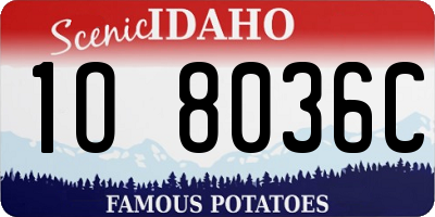 ID license plate 1O8036C